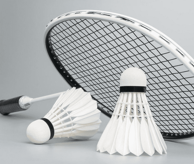 Перьервые воланы Xiaomi Dooot Badminton Amateur